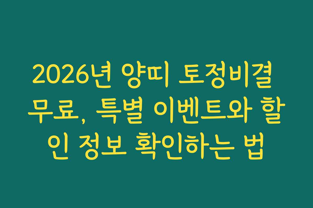 2026년 양띠 토정비결 무료, 특별 이벤트와 할인 정보 확인하는 법