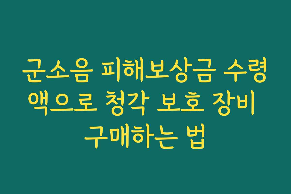 군소음 피해보상금 수령액으로 청각 보호 장비 구매하는 법