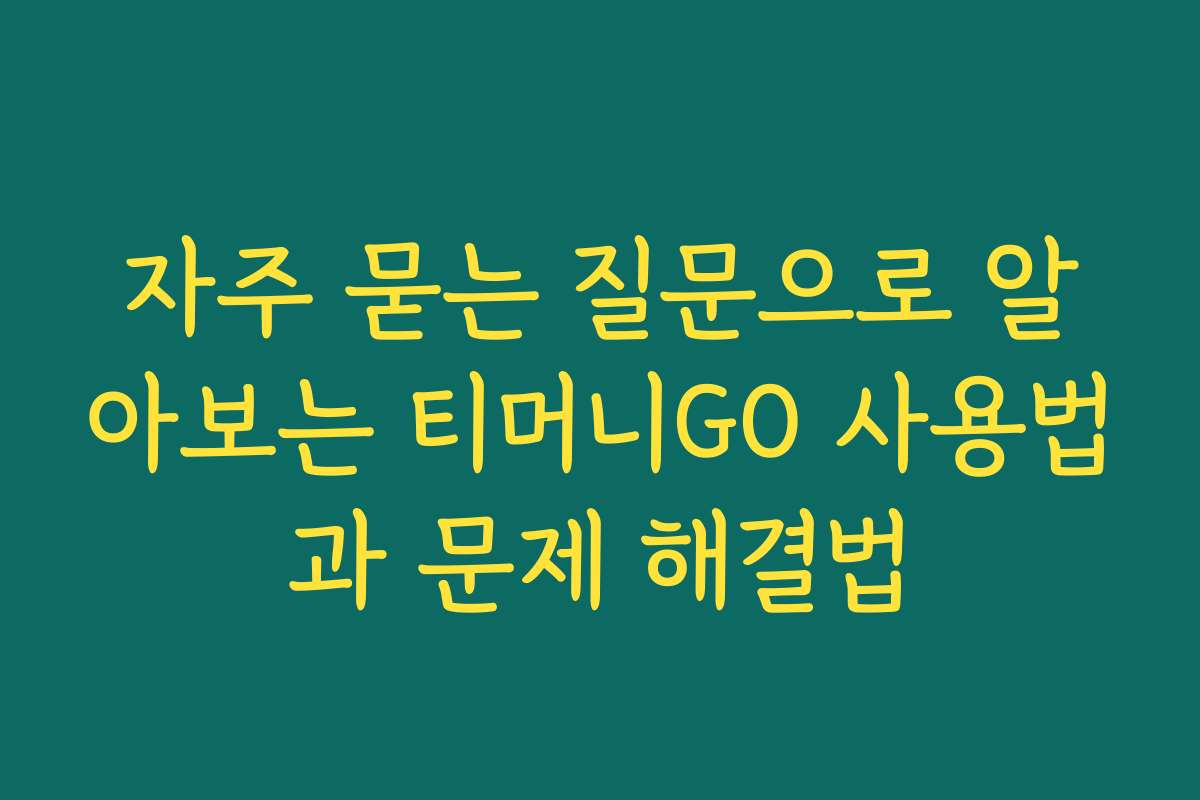 자주 묻는 질문으로 알아보는 티머니GO 사용법과 문제 해결법