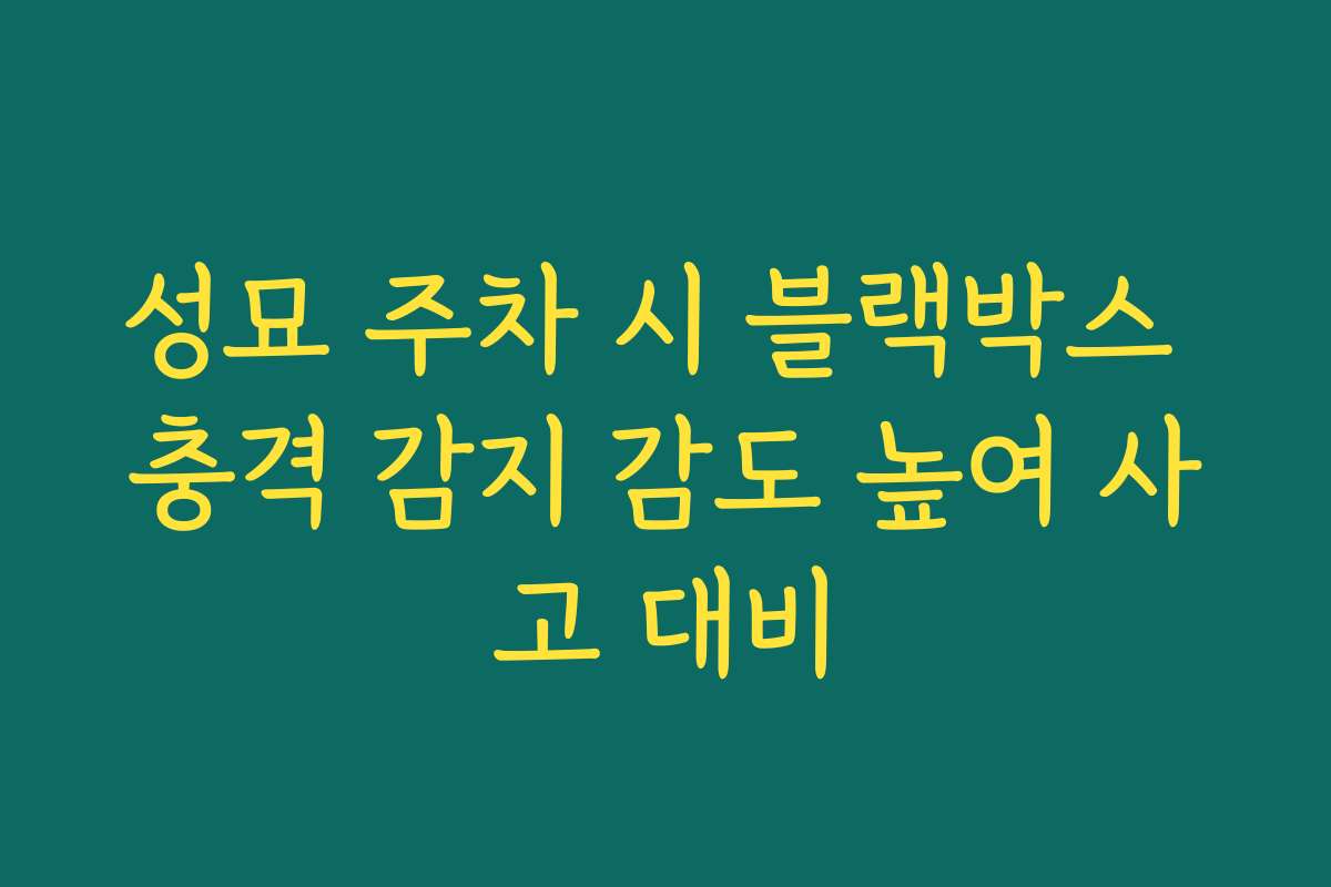 성묘 주차 시 블랙박스 충격 감지 감도 높여 사고 대비