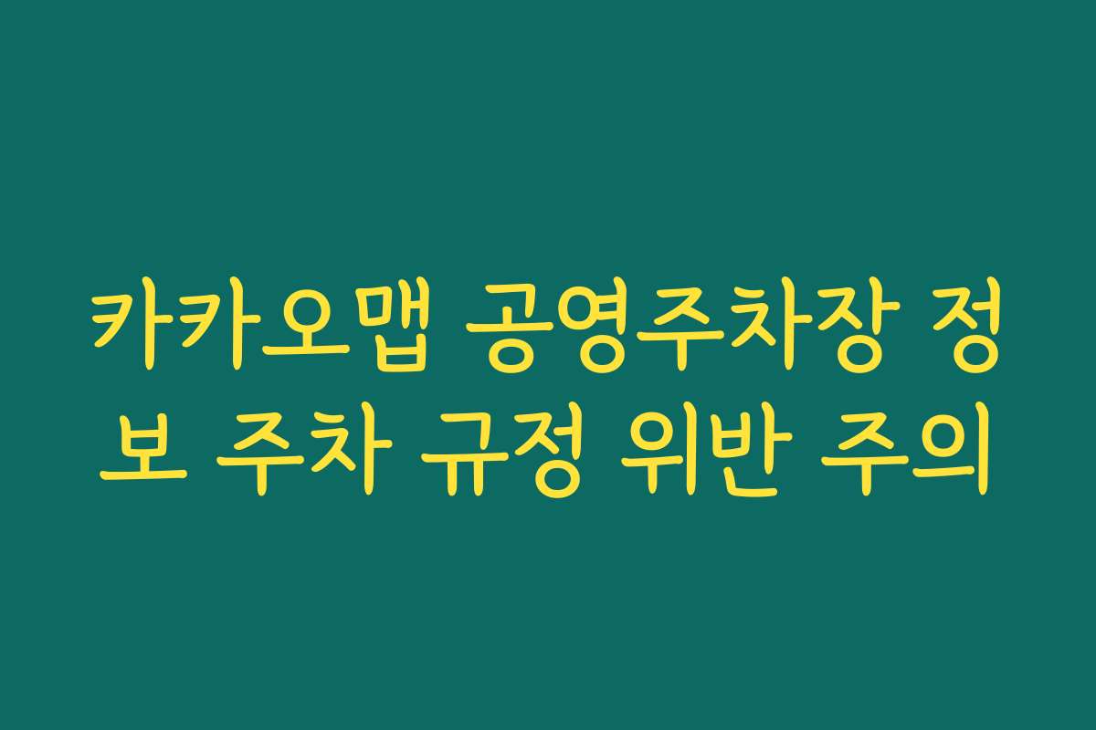 카카오맵 공영주차장 정보 주차 규정 위반 주의