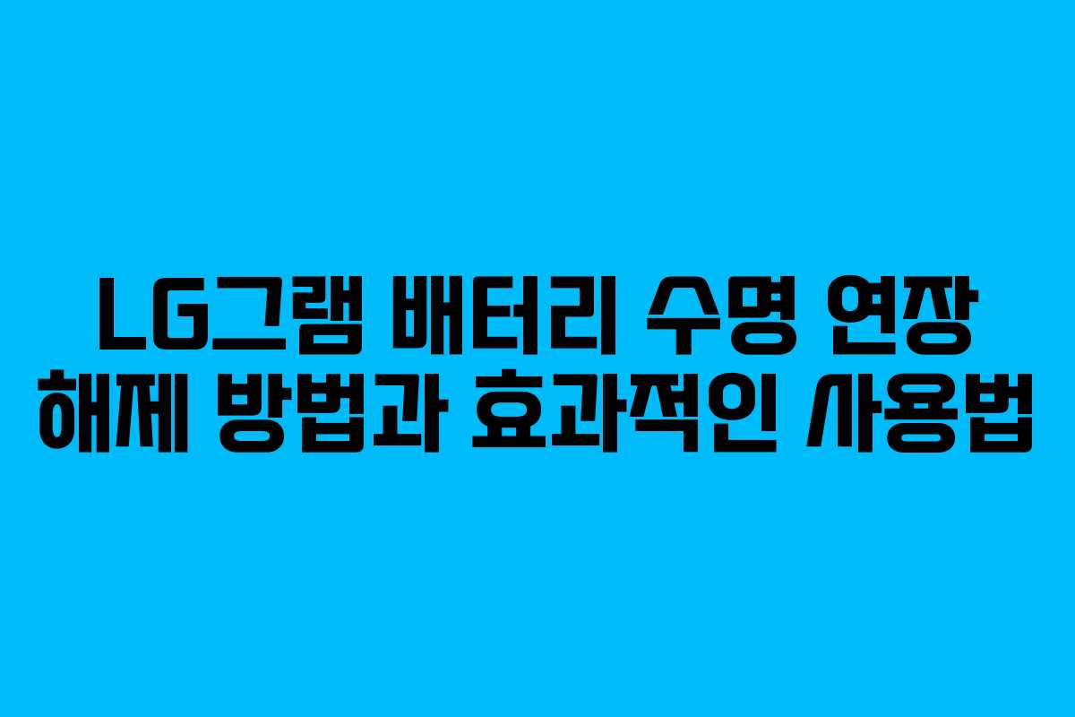 LG그램 배터리 수명 연장 해제 방법과 효과적인 사용법
