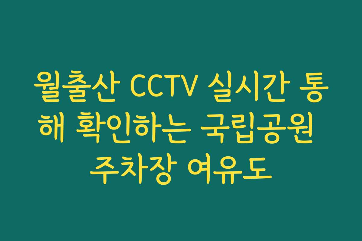 월출산 CCTV 실시간 통해 확인하는 국립공원 주차장 여유도
