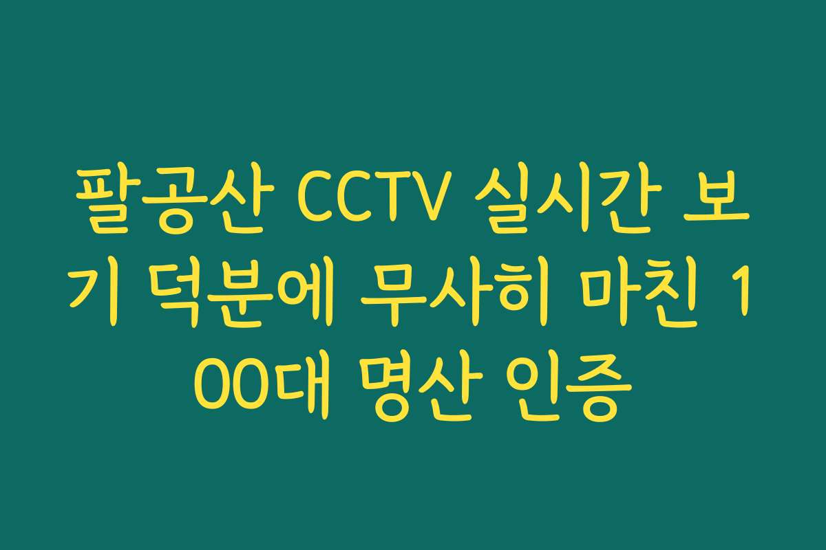 팔공산 CCTV 실시간 보기 덕분에 무사히 마친 100대 명산 인증
