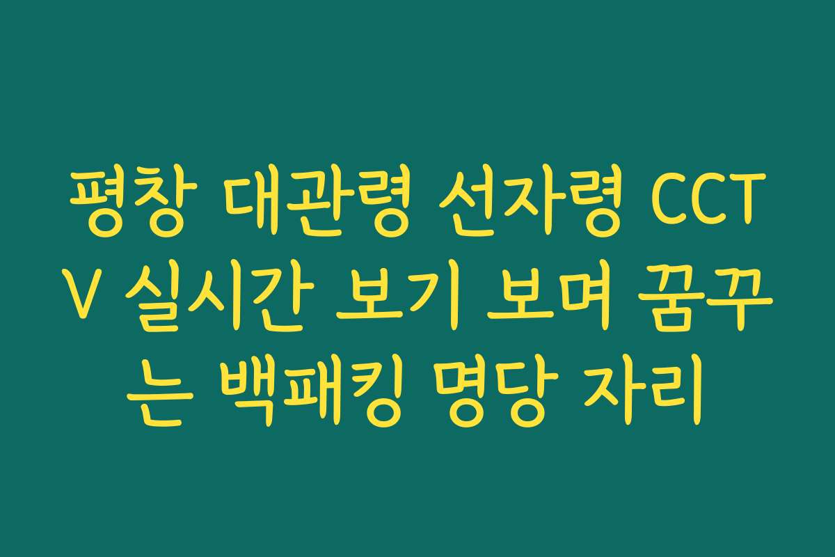 평창 대관령 선자령 CCTV 실시간 보기 보며 꿈꾸는 백패킹 명당 자리