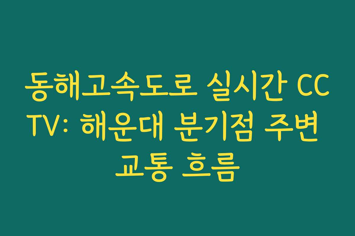 동해고속도로 실시간 CCTV: 해운대 분기점 주변 교통 흐름