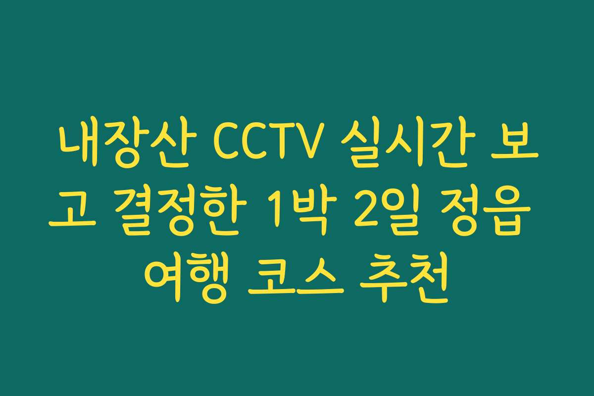 내장산 CCTV 실시간 보고 결정한 1박 2일 정읍 여행 코스 추천