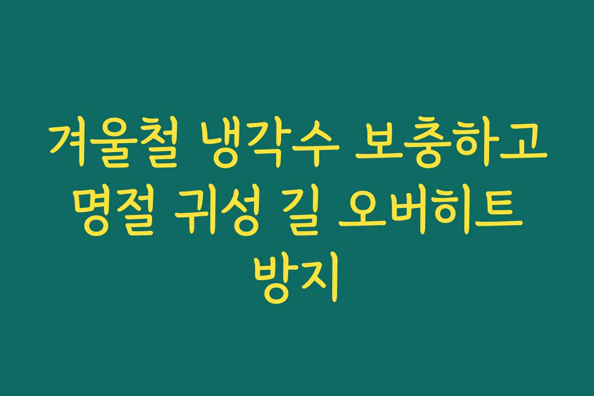 겨울철 냉각수 보충하고 명절 귀성 길 오버히트 방지