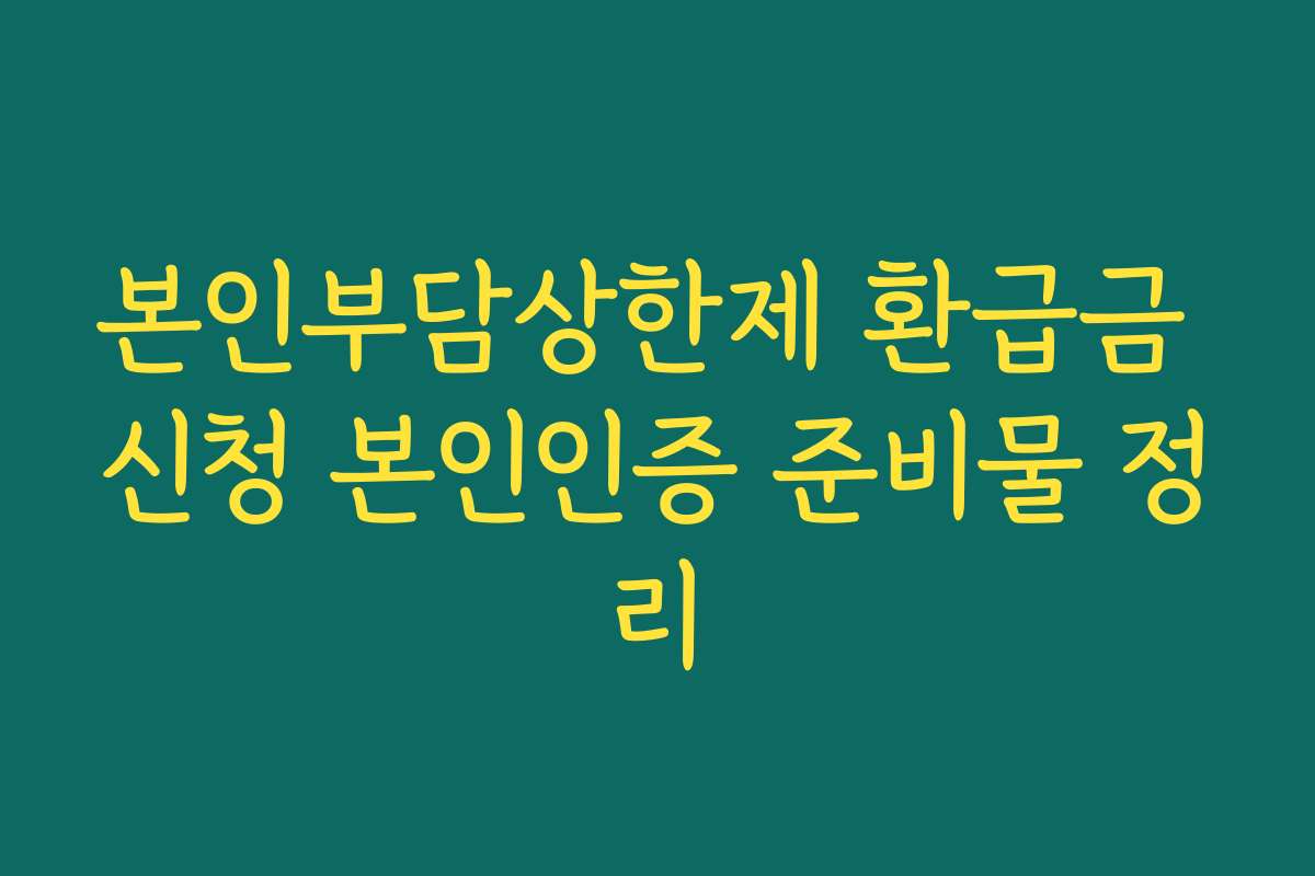 본인부담상한제 환급금 신청 본인인증 준비물 정리