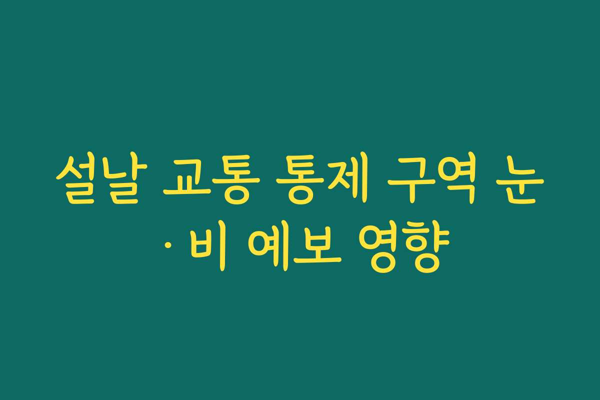 설날 교통 통제 구역 눈·비 예보 영향