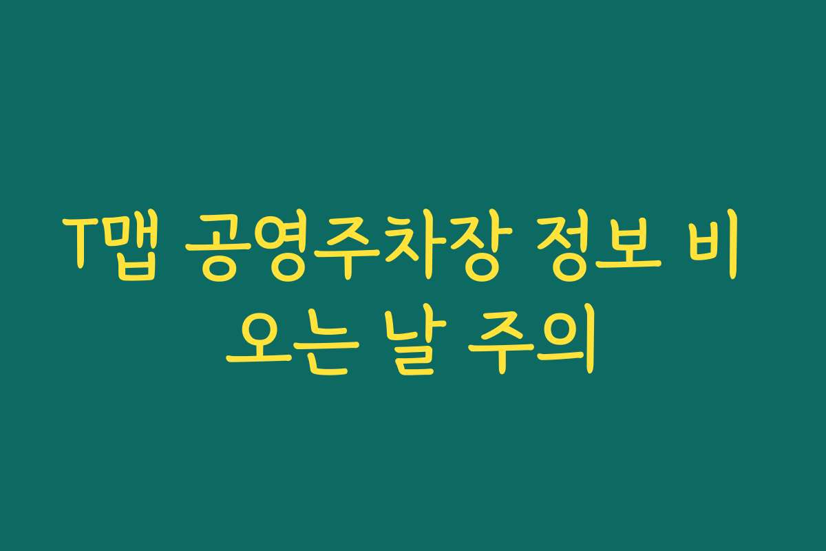 T맵 공영주차장 정보 비 오는 날 주의