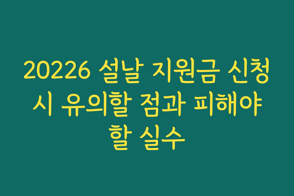 20226 설날 지원금 신청 시 유의할 점과 피해야 할 실수