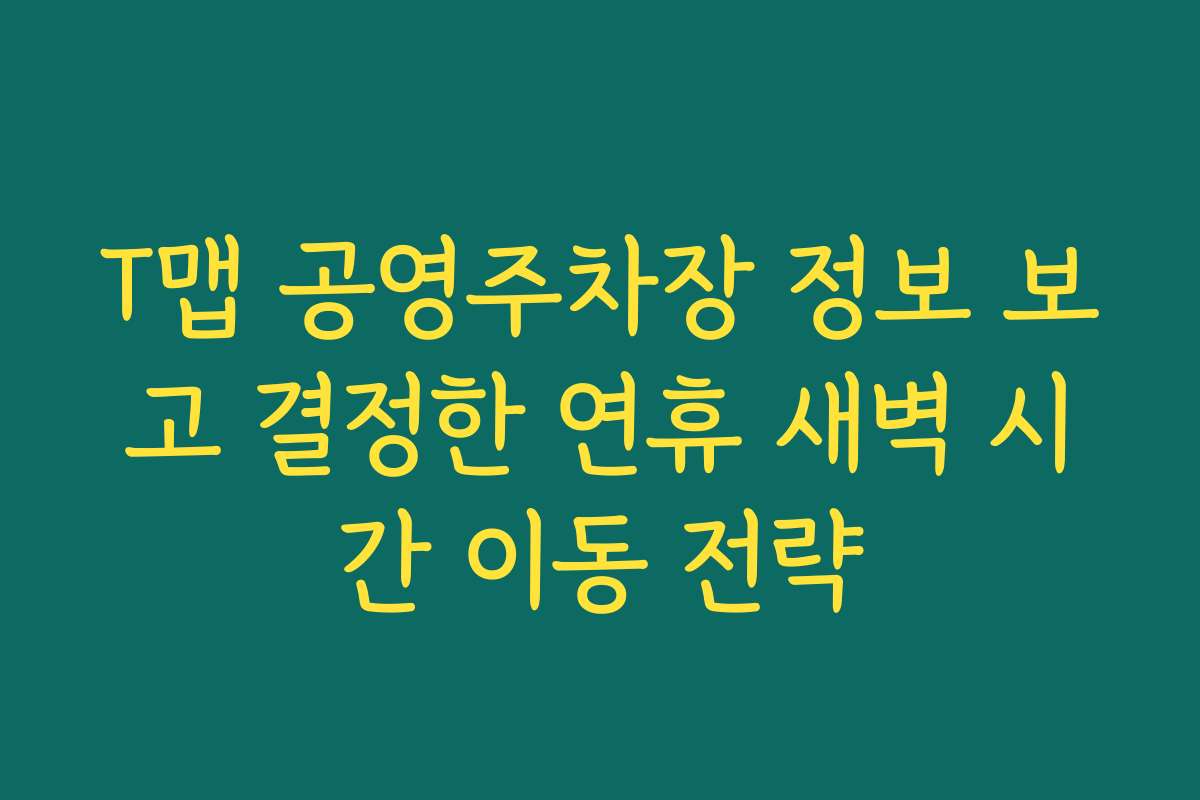 T맵 공영주차장 정보 보고 결정한 연휴 새벽 시간 이동 전략