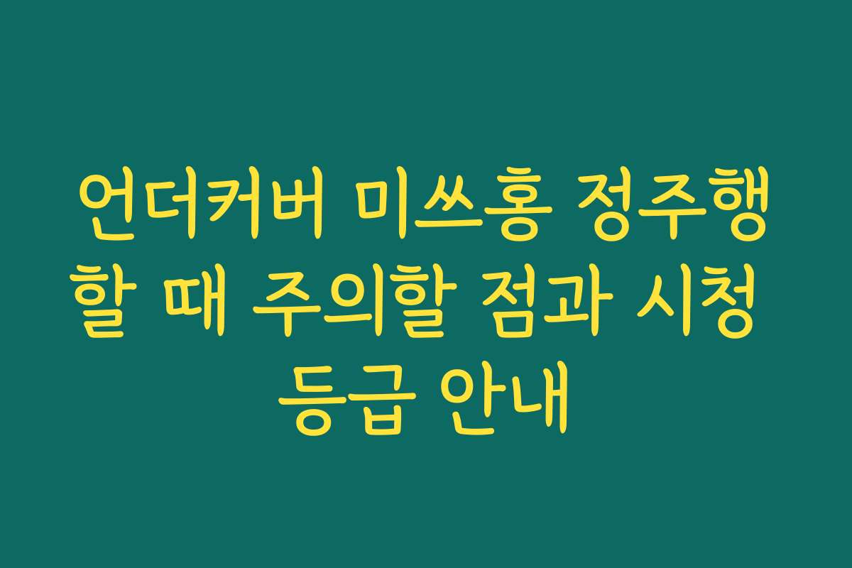 언더커버 미쓰홍 정주행할 때 주의할 점과 시청 등급 안내