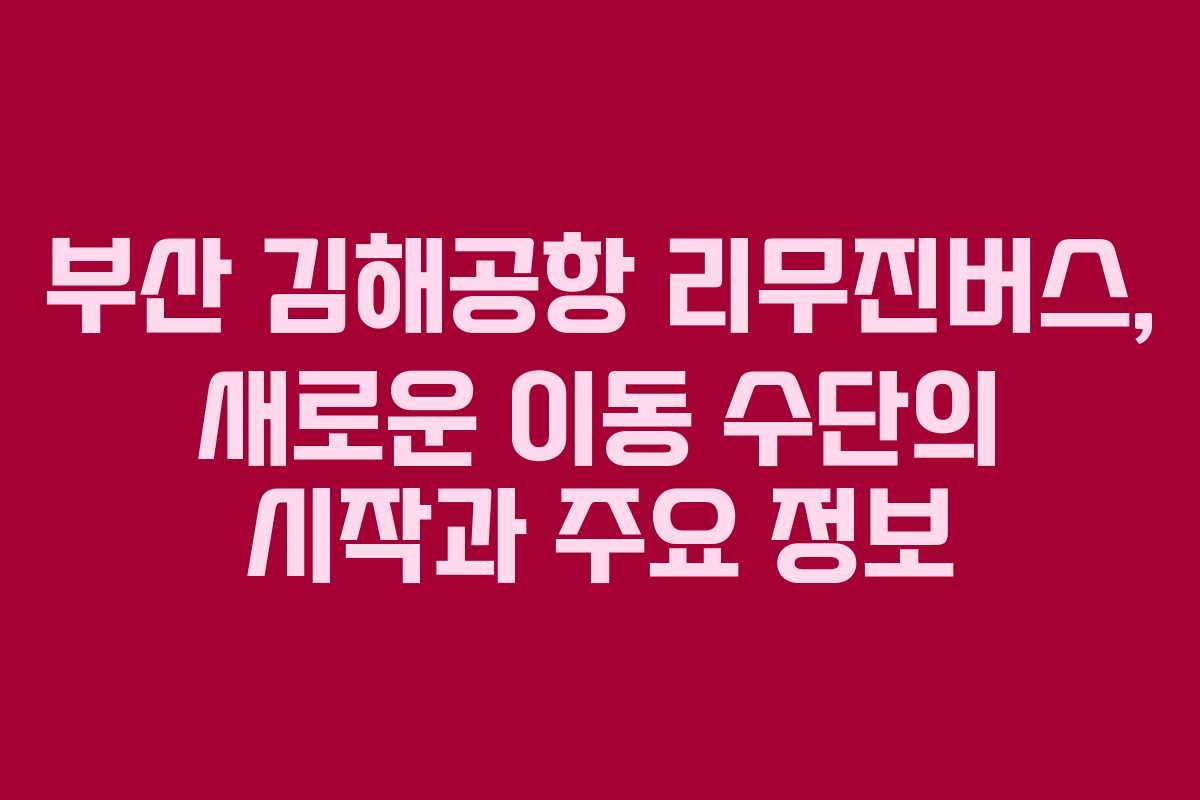 부산 김해공항 리무진버스, 새로운 이동 수단의 시작과 주요 정보
