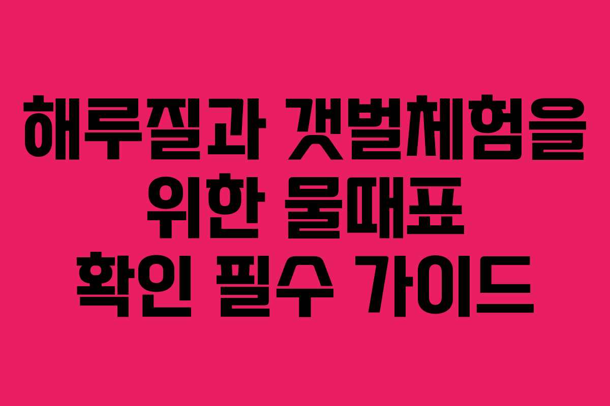 해루질과 갯벌체험을 위한 물때표 확인 필수 가이드