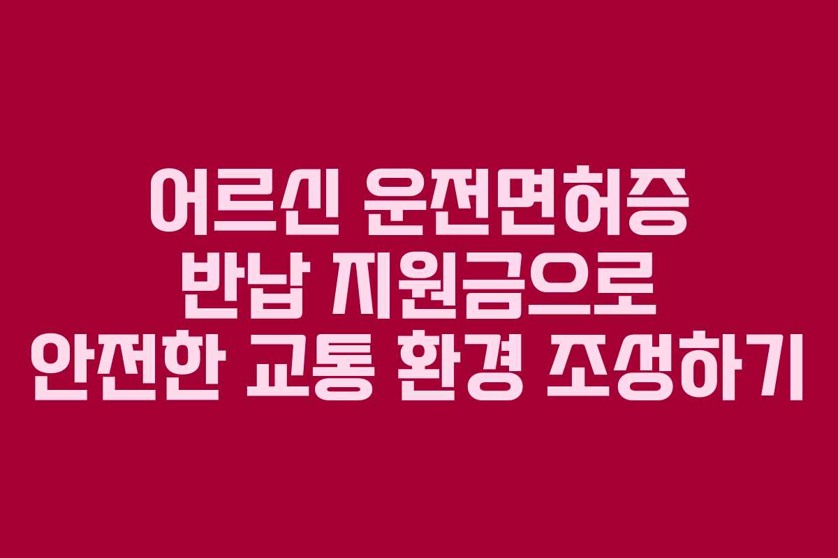 어르신 운전면허증 반납 지원금으로 안전한 교통 환경 조성하기
