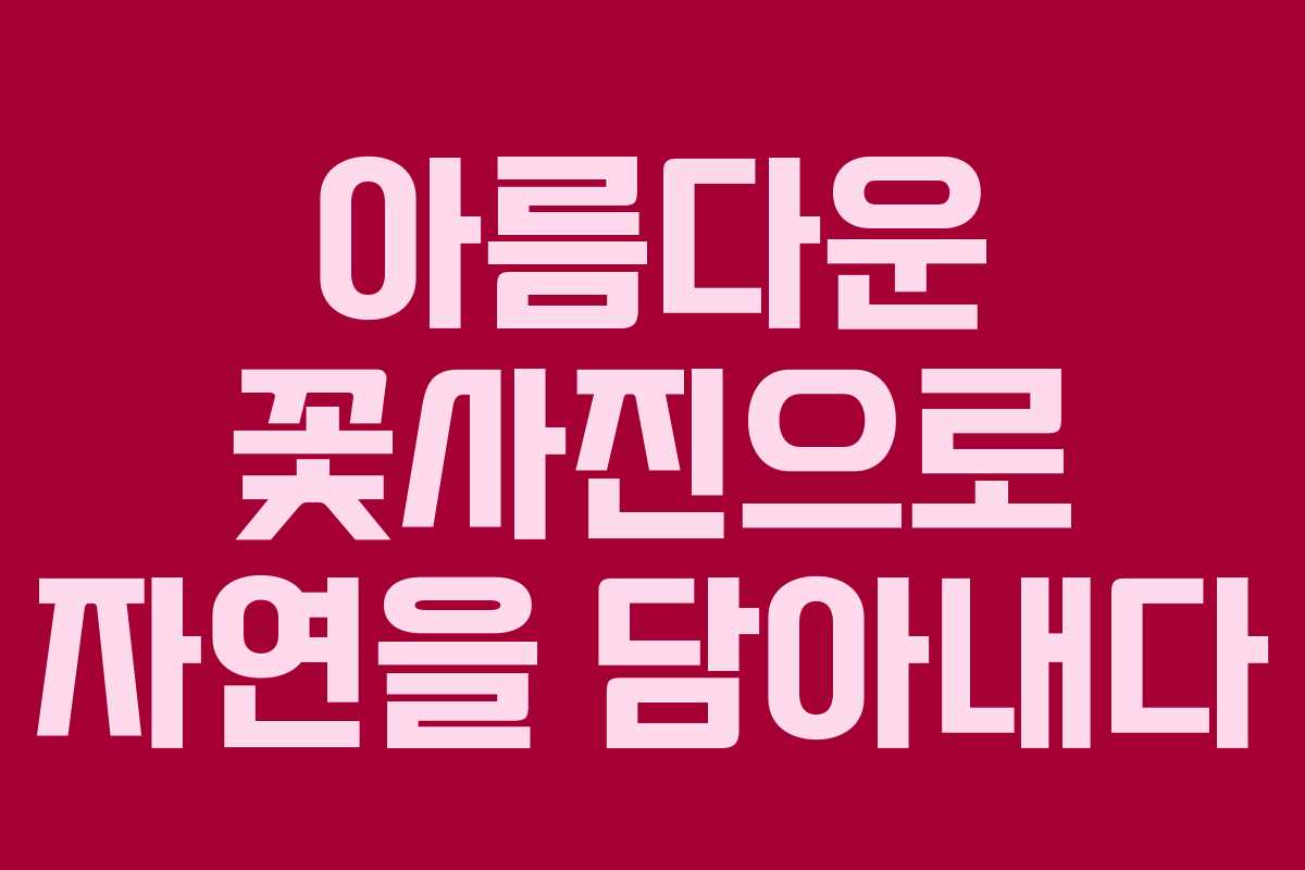 아름다운 꽃사진으로 자연을 담아내다