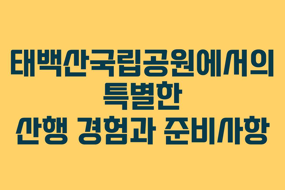 태백산국립공원에서의 특별한 산행 경험과 준비사항