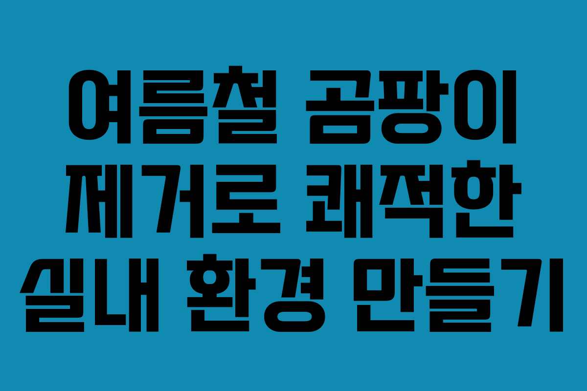여름철 곰팡이 제거로 쾌적한 실내 환경 만들기