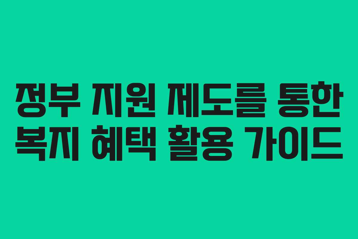 정부 지원 제도를 통한 복지 혜택 활용 가이드