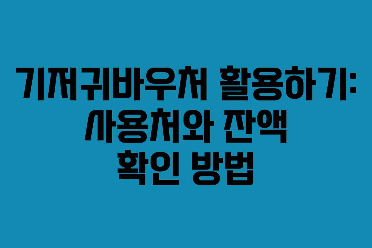 기저귀바우처 활용하기: 사용처와 잔액 확인 방법