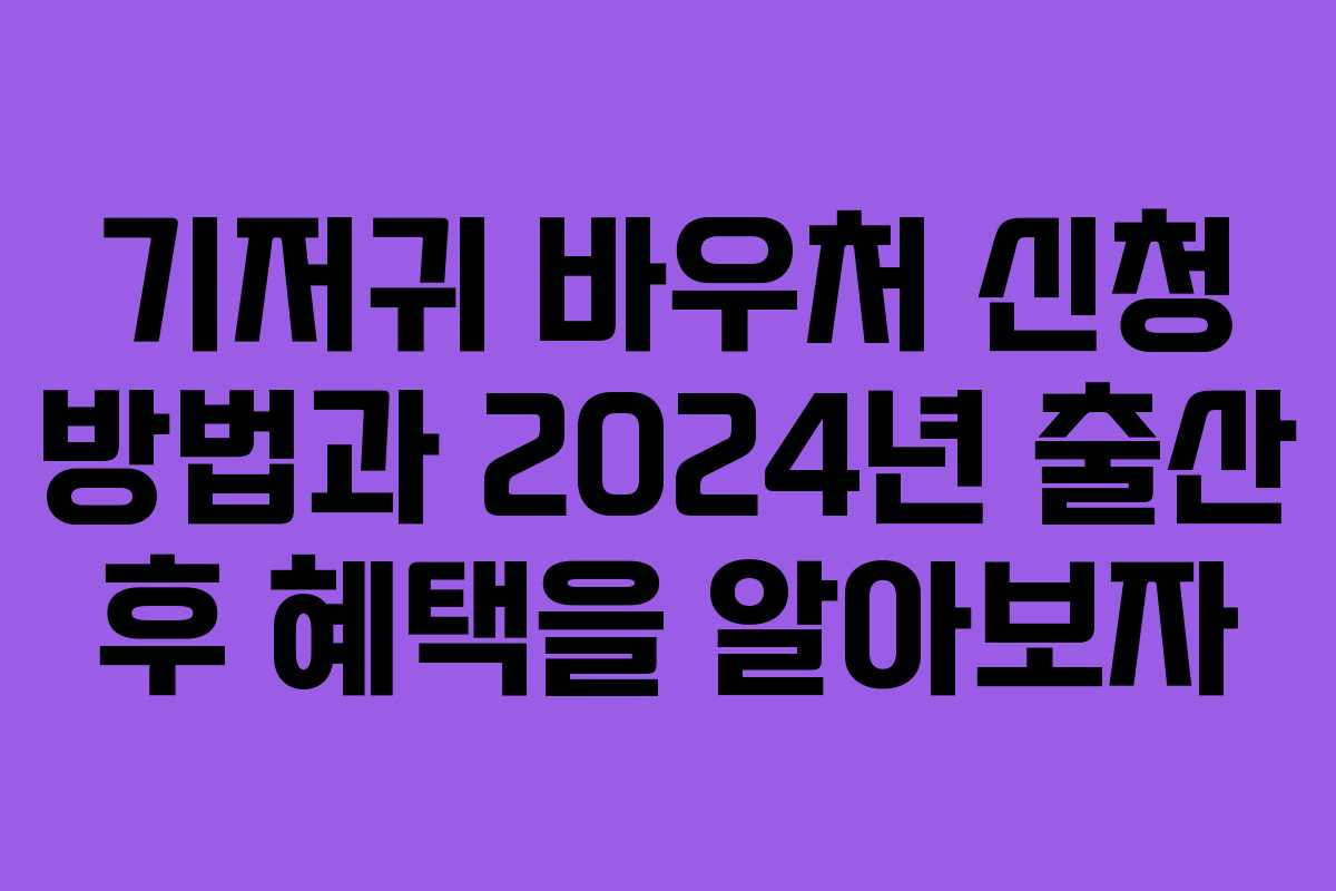기저귀 바우처 신청 방법과 2024년 출산 후 혜택을 알아보자