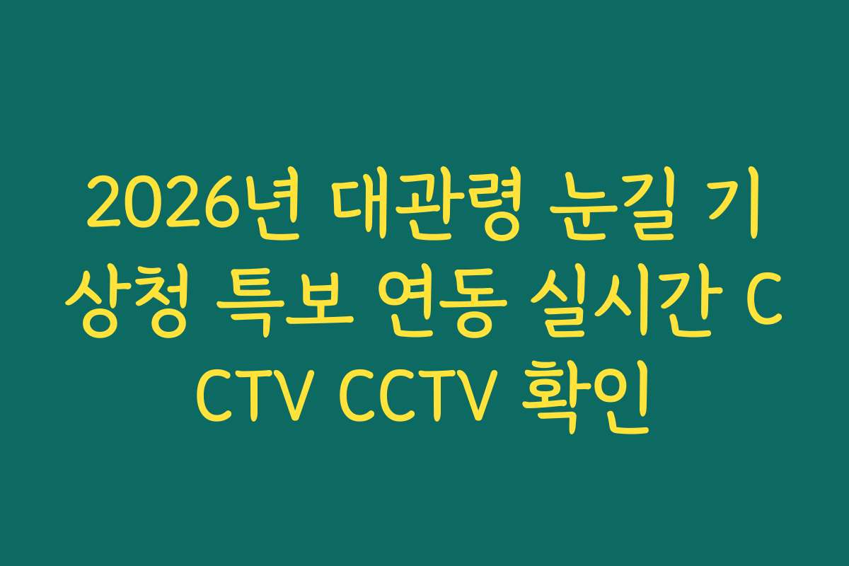2026년 대관령 눈길 기상청 특보 연동 실시간 CCTV CCTV 확인