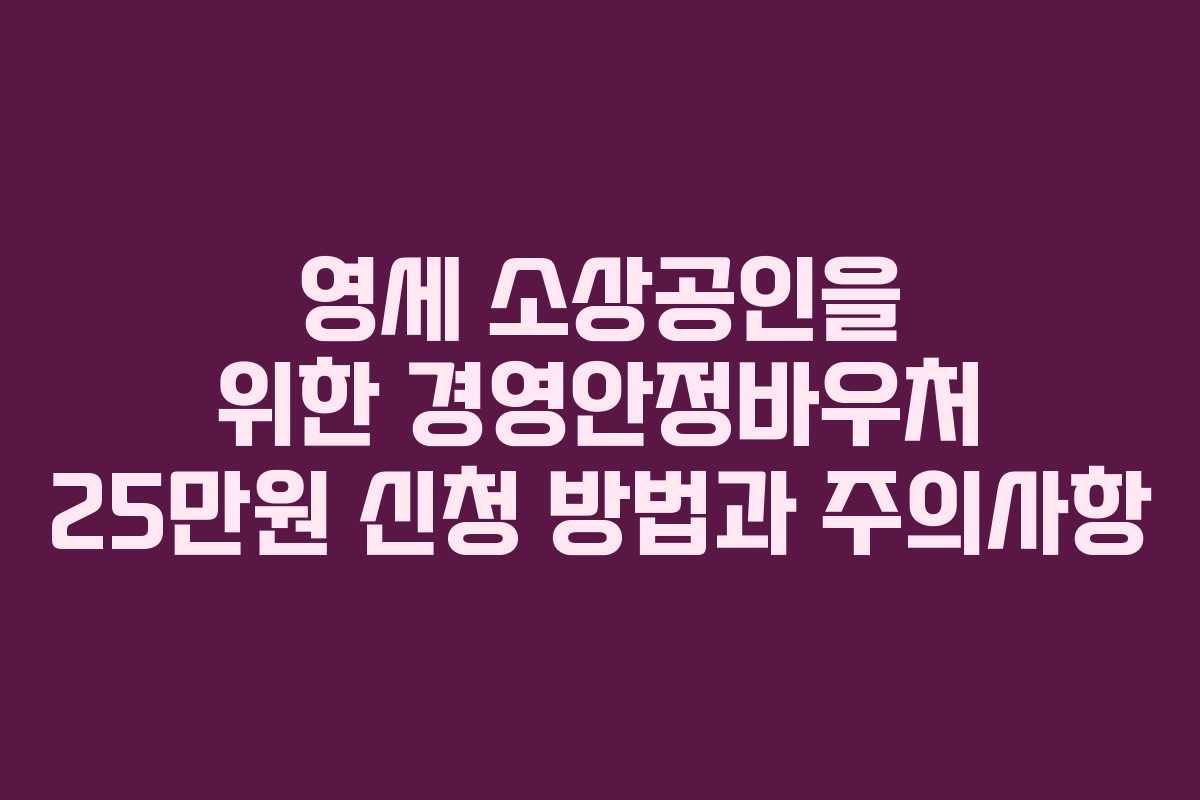 영세 소상공인을 위한 경영안정바우처 25만원 신청 방법과 주의사항