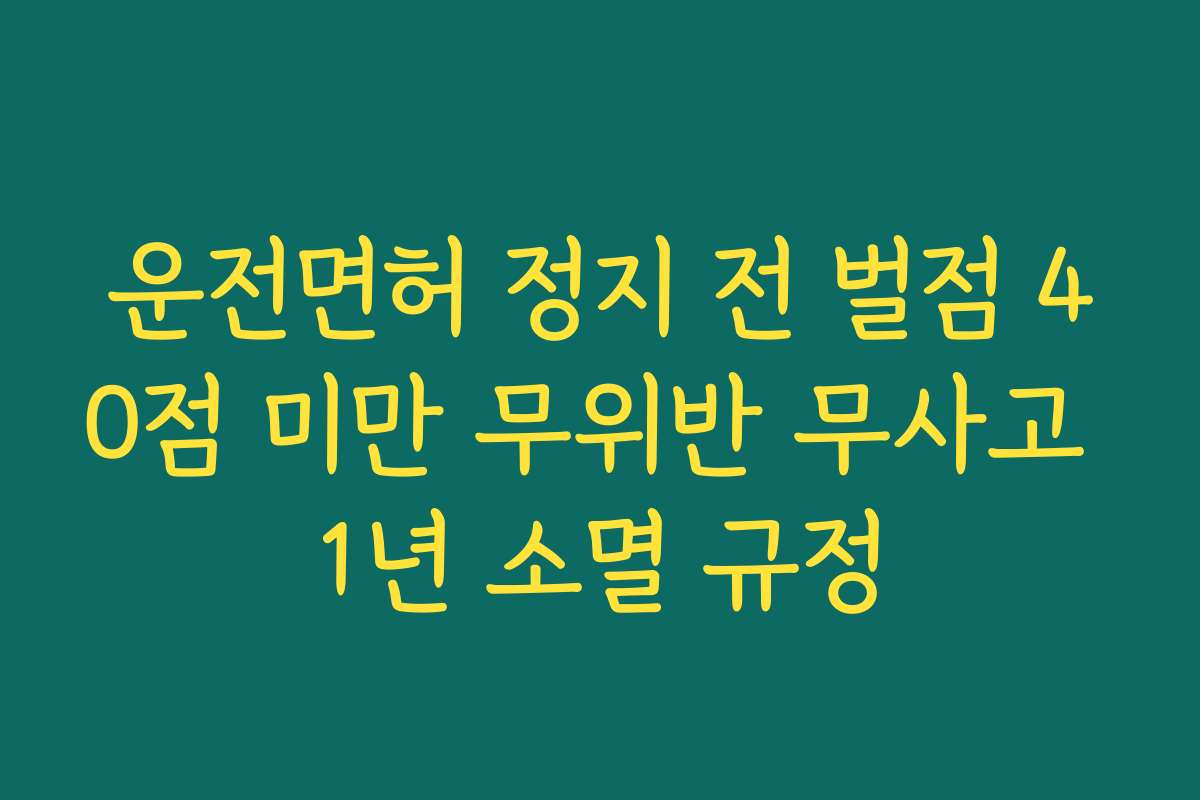 운전면허 정지 전 벌점 40점 미만 무위반 무사고 1년 소멸 규정