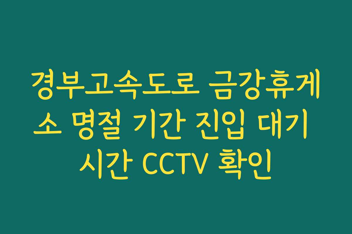 경부고속도로 금강휴게소 명절 기간 진입 대기 시간 CCTV 확인