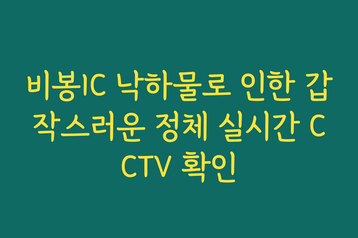 비봉IC 낙하물로 인한 갑작스러운 정체 실시간 CCTV 확인