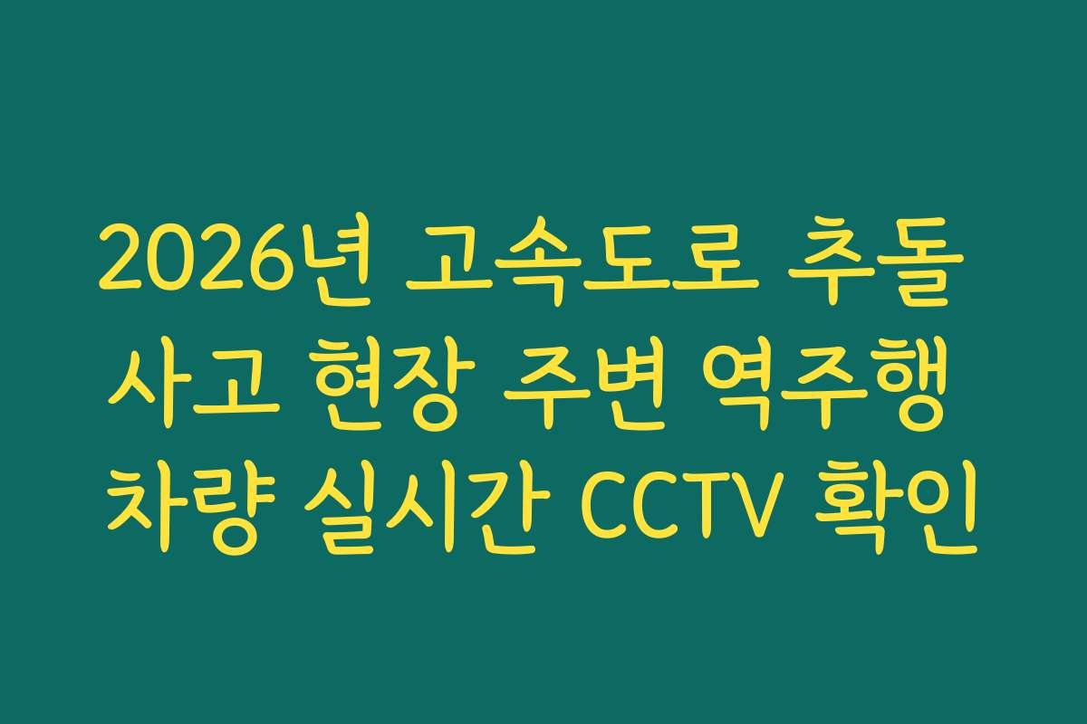 2026년 고속도로 추돌 사고 현장 주변 역주행 차량 실시간 CCTV 확인