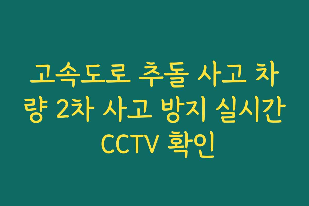 고속도로 추돌 사고 차량 2차 사고 방지 실시간 CCTV 확인