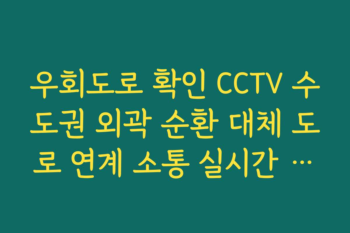 우회도로 확인 CCTV 수도권 외곽 순환 대체 도로 연계 소통 실시간 보기