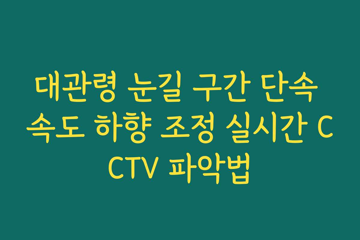 대관령 눈길 구간 단속 속도 하향 조정 실시간 CCTV 파악법