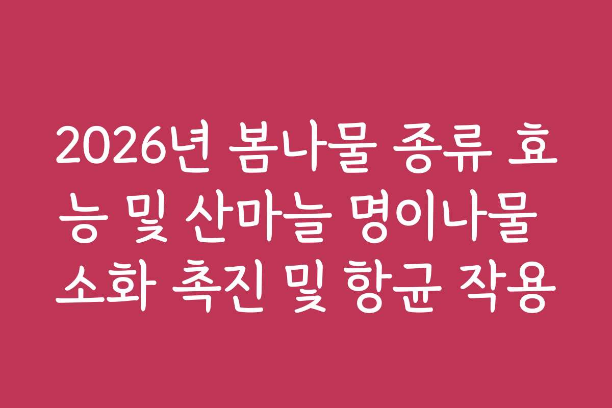 2026년 봄나물 종류 효능 및 산마늘 명이나물 소화 촉진 및 항균 작용