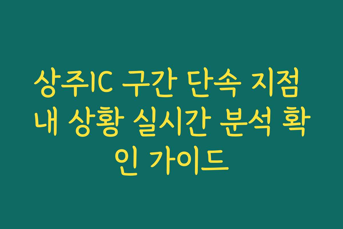 상주IC 구간 단속 지점 내 상황 실시간 분석 확인 가이드