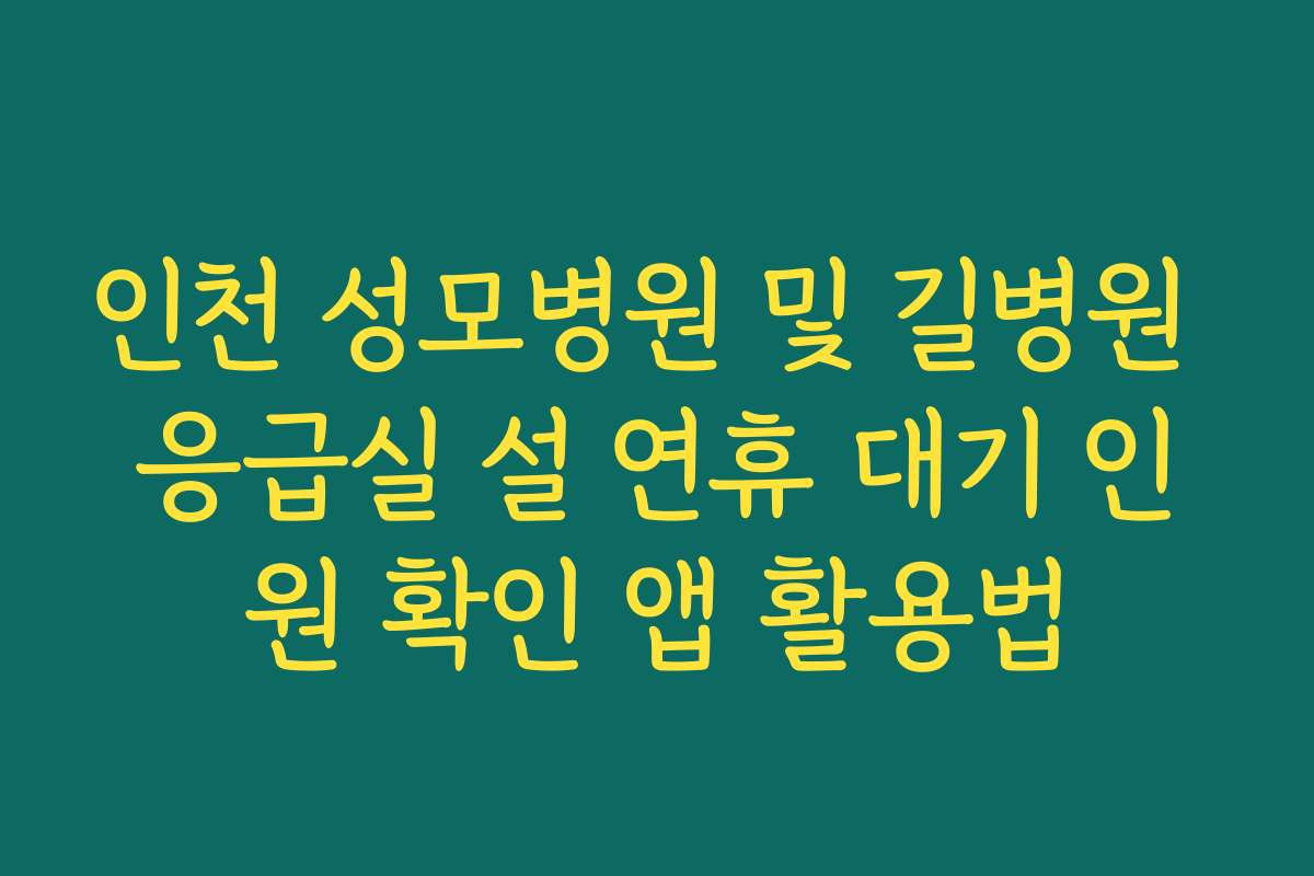 인천 성모병원 및 길병원 응급실 설 연휴 대기 인원 확인 앱 활용법