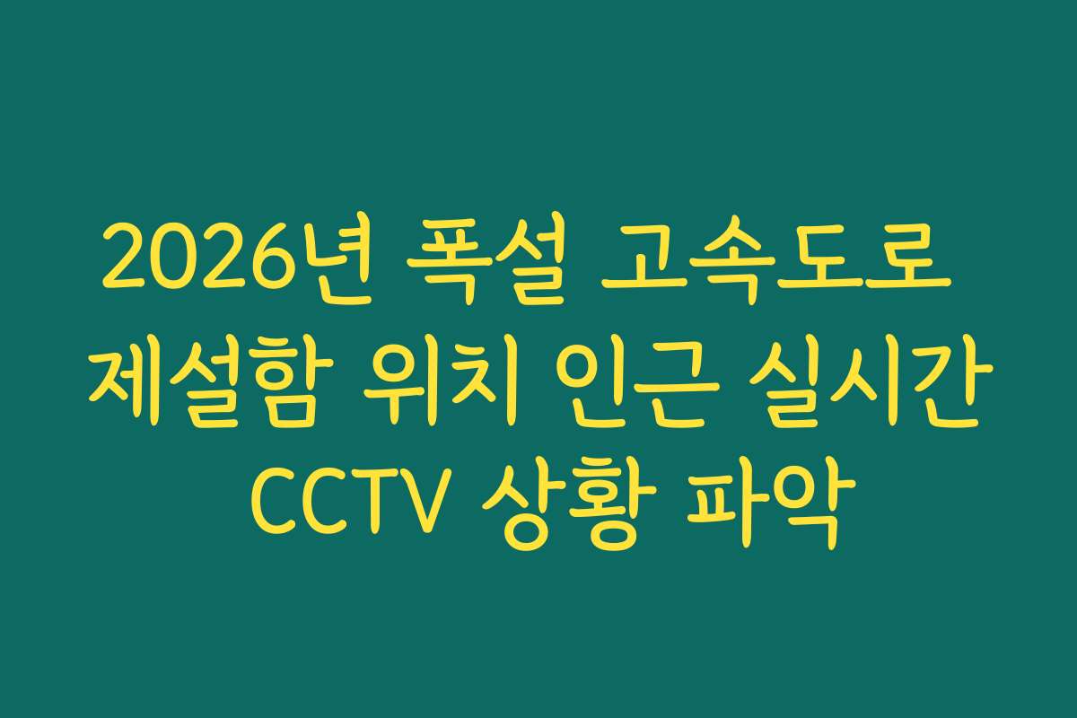 2026년 폭설 고속도로 제설함 위치 인근 실시간 CCTV 상황 파악