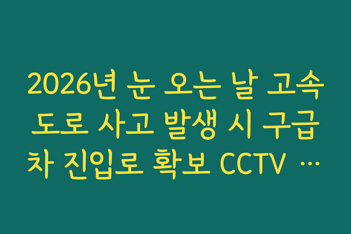 2026년 눈 오는 날 고속도로 사고 발생 시 구급차 진입로 확보 CCTV 확인