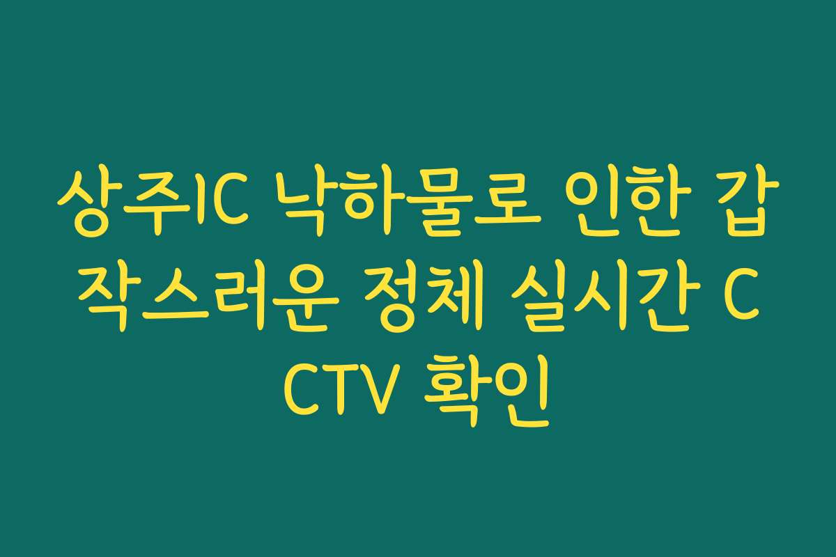 상주IC 낙하물로 인한 갑작스러운 정체 실시간 CCTV 확인