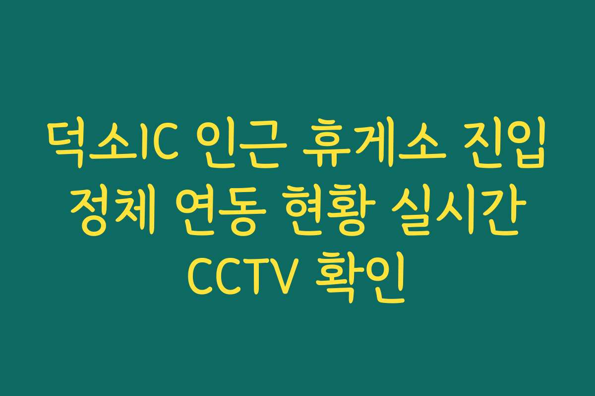 덕소IC 인근 휴게소 진입 정체 연동 현황 실시간 CCTV 확인