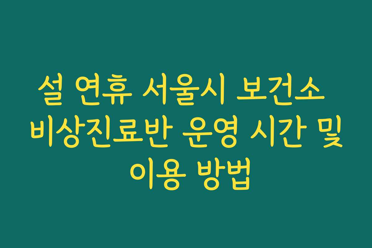 설 연휴 서울시 보건소 비상진료반 운영 시간 및 이용 방법
