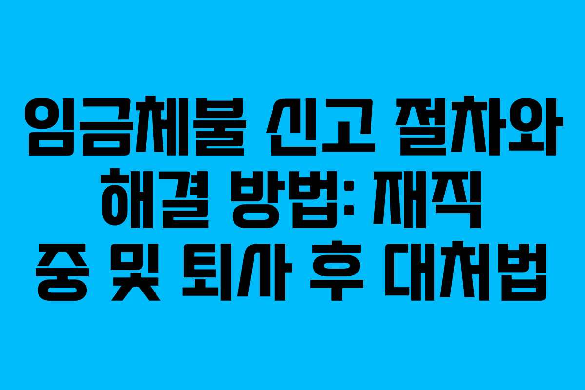 임금체불 신고 절차와 해결 방법: 재직 중 및 퇴사 후 대처법