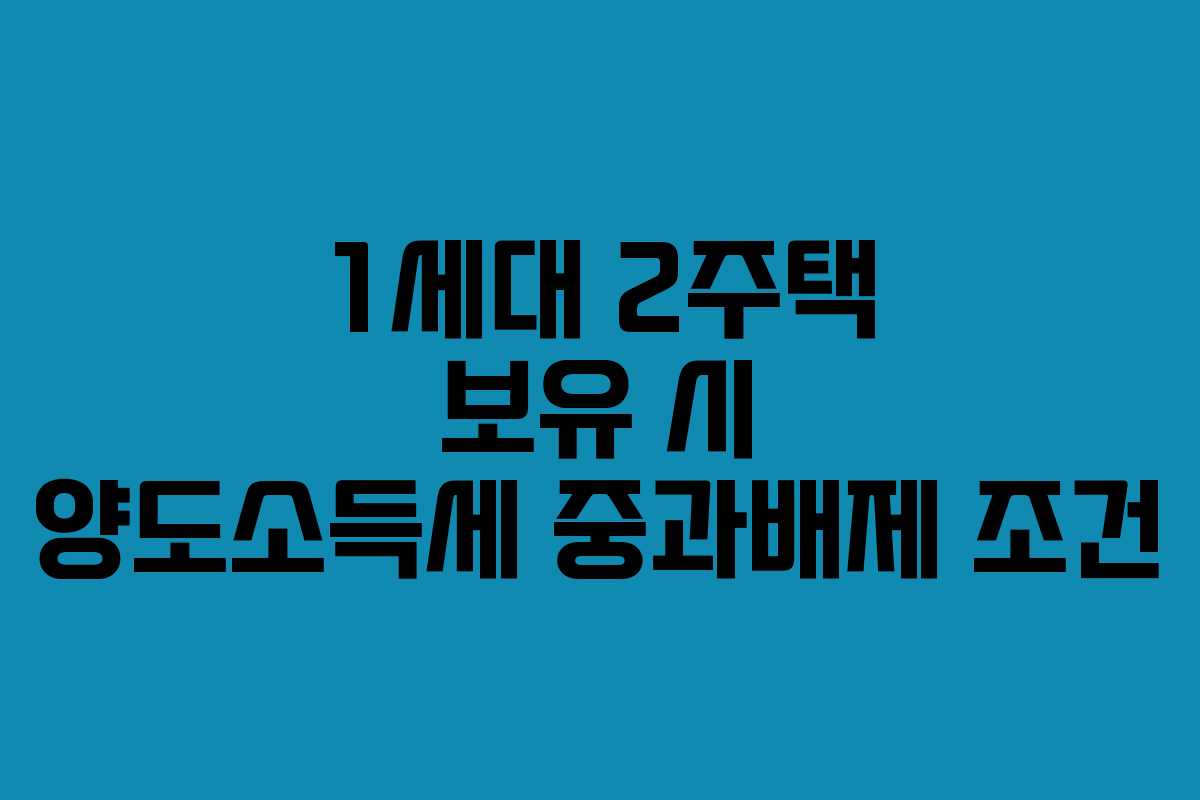 1세대 2주택 보유 시 양도소득세 중과배제 조건