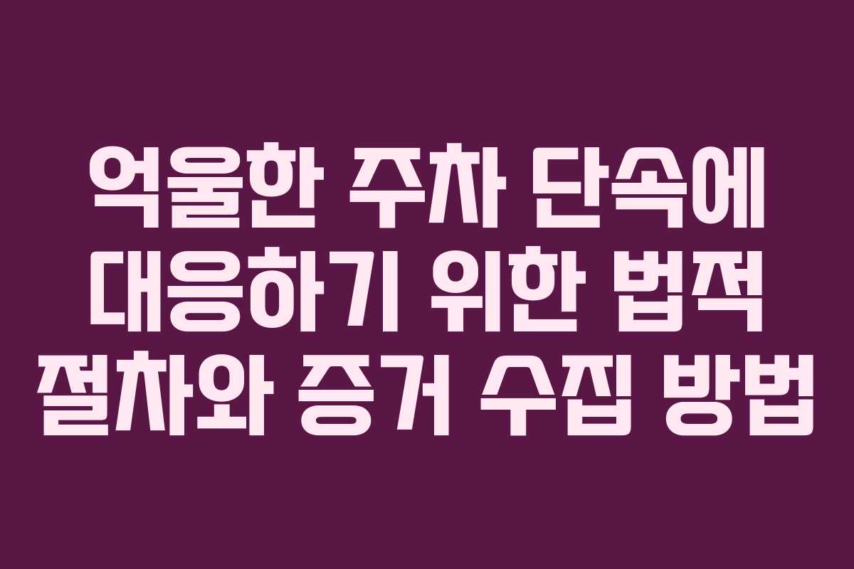 억울한 주차 단속에 대응하기 위한 법적 절차와 증거 수집 방법