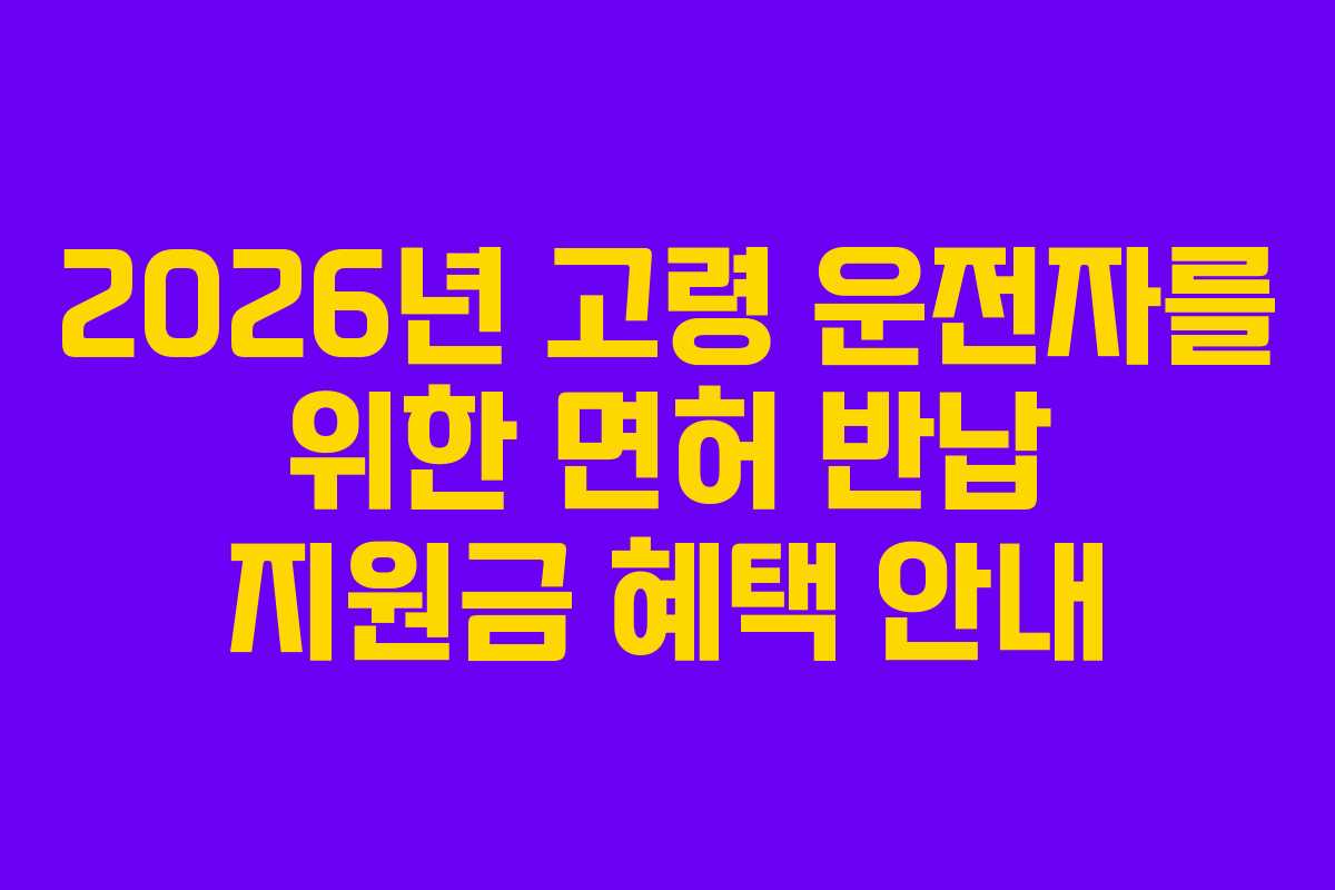 2026년 고령 운전자를 위한 면허 반납 지원금 혜택 안내