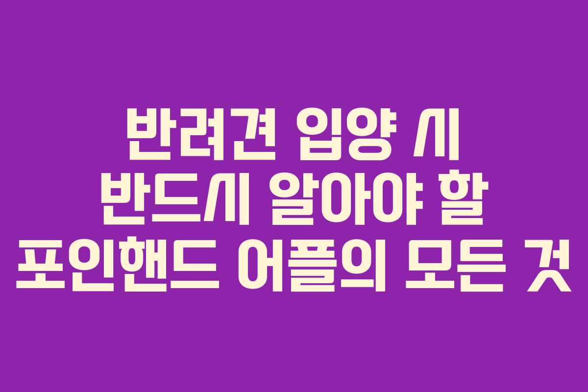 반려견 입양 시 반드시 알아야 할 포인핸드 어플의 모든 것