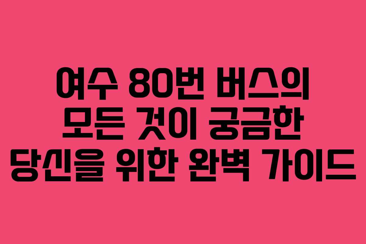 여수 80번 버스의 모든 것이 궁금한 당신을 위한 완벽 가이드